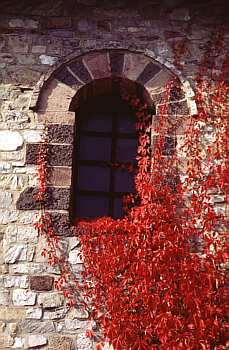 Herbststimmung auf der Saalburg