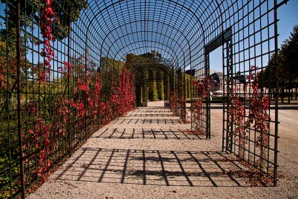Treillagengänge im Schlossgarten Schwetzingen. Bild: Uschi Wetzel