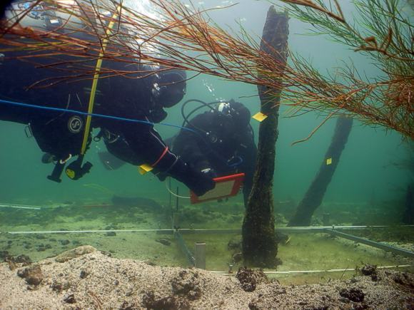 Oberflächenaufnahme in Konstanz-Frauenpfahl: die starke Strömung im Bodensee vor Konstanz stellt die archäologischen Forschungstaucher vor besonders schwierige Bedingungen. Foto: LAD, M. Mainberger