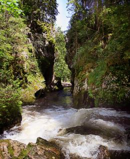 Bild: Schluchtensteig Schwarzwald, In der Haslachklamm bei Lenzkirch. &copy; Schluchtensteig Schwarzwald