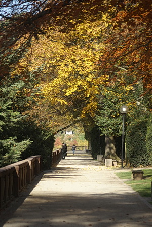 Scheffelterrasse im Herbst
