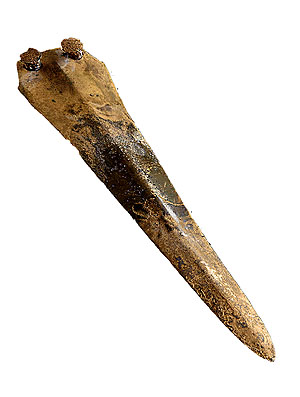 Bronzedolch (Quelle: LfD, M. Erne)