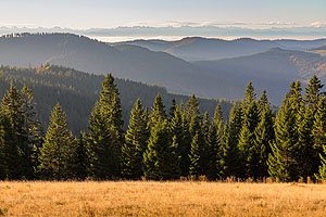 Herbstliches Alpenpanorama vom Feldberg