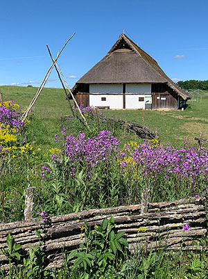 Rekonstruiertes Haus auf der Heuneburg.
