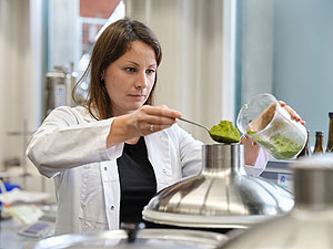 Der Hanf muss im Vergleich zum Hopfen deutlich weniger lang gekocht werden. Foto: ZHAW