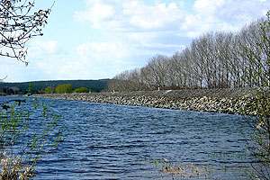 Die Quitzdorf-Talsperre war eine der drei Brauchwasser-Talsperren in Sachsen, die im Projekt untersucht wurden. Foto: ProfessorX CC BY-SA 3