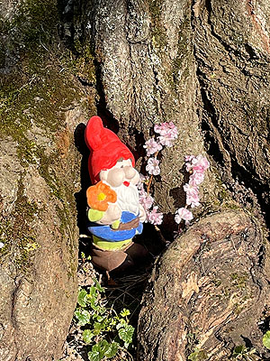 Gartenzwergparade im Schwetzinger Schlossgarten: Fotos: kulturer.be