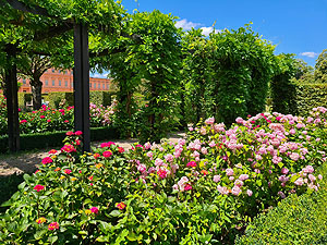 Schloss Rastatt, neu angelegtes Blumenbeet. Foto: Magda Ritter, ssg