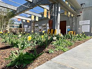 Eröffnung der Schaufläche der Staatlichen Schlösser und Gärten auf der BuGa 23 in Mannheim durch SSG-Geschäftsführerin Patricia Alberth und ein Blick auf die Schaufläche selbst. Fotos: Thomas Somlo / ssg