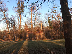 Baumruinen im Schwetzinger Schlossgarten. Fotos: kulturer.be